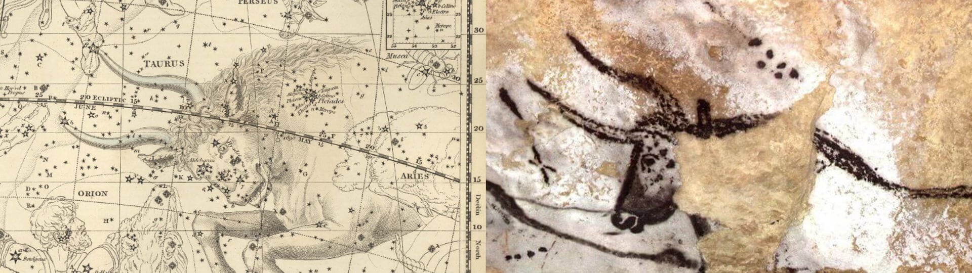 Imagen de uno de los toros de la cueva de Lascaux y el dibujo de la constalación de Tauro de Alexander Jamieson. Lo más sorprende es ver el parecido de las siete estrellas de las Pléyades en la pintura de Lascaux