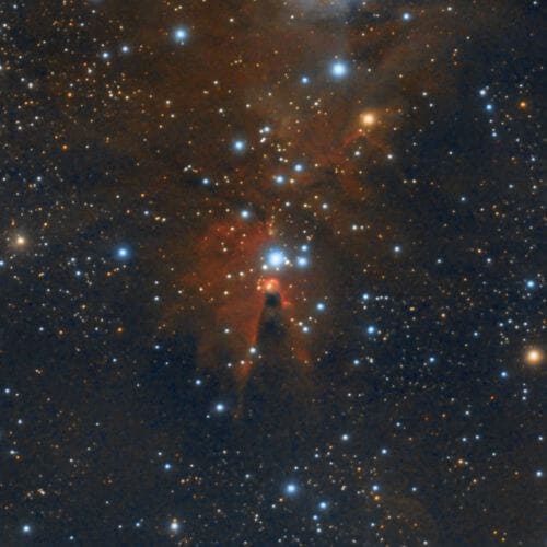 Nebulosa del Cono en el «Árbol de Navidad» (NGC2264)