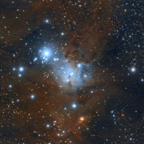Nebulosa de la «Piel de Zorro» en el «Árbol de Navidad» (NGC2264)