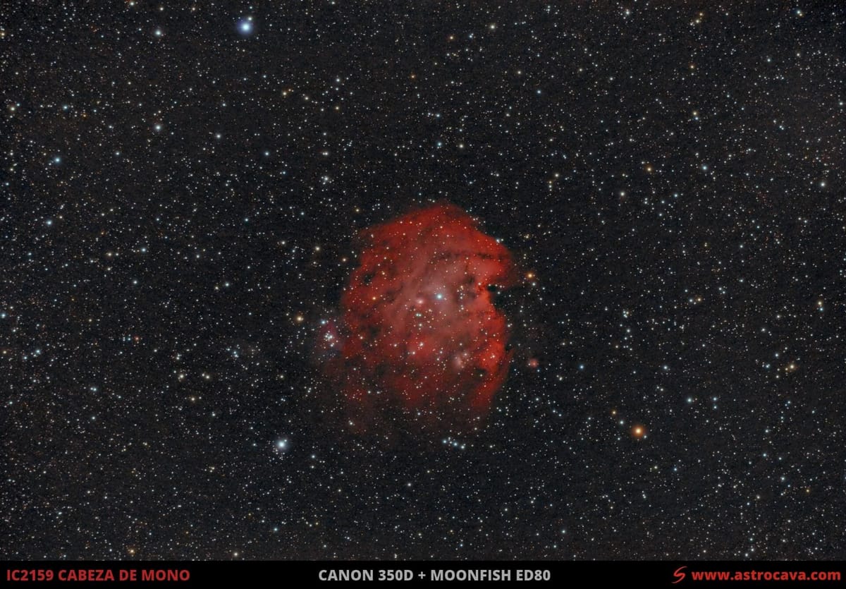 La nebulosa Cabeza de Mono - IC2159
