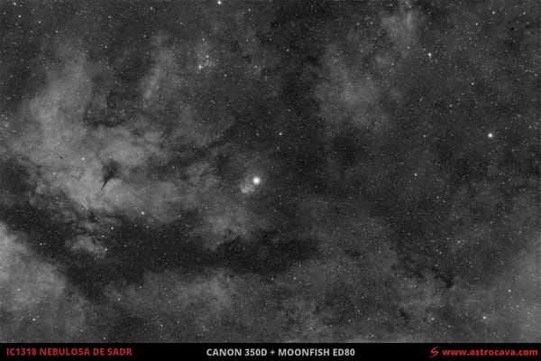 Estrella Sadr en Cisne y nebulosa asociada (IC1318)