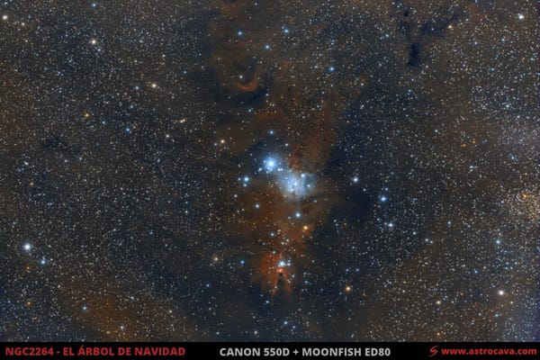 Nebulosa «Árbol de Navidad» (NGC2264)