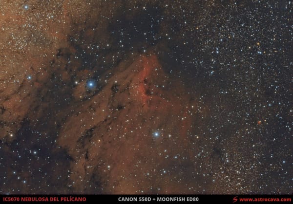 Nebulosa del Pelícano en Cisne (IC5070)